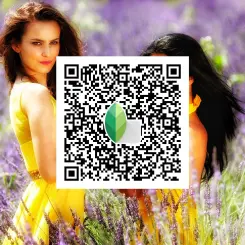 Transform Your Photos with Vintage Snapseed QR Codes Presets for Timeless Aesthetic