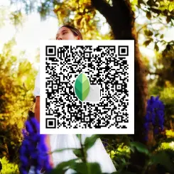Snapseed QR Codes Aesthetic Presets Blur Sky Backgrounds Lightroom Downloads