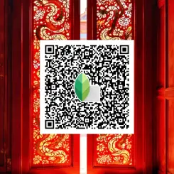 Snapseed QR Codes for Stunning HD 4K 8K 16k Results